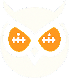 PocketVision Owl Icon
